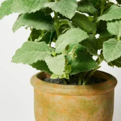 Artificial Potted Mint Leaf - Threshold™ Designed With Studio McGee 7 Artificial Potted Mint Leaf - Threshold™ Designed With Studio McGee -Home Decor Store GUEST 19a08200 78b7 461e bcd9 c962450d4305