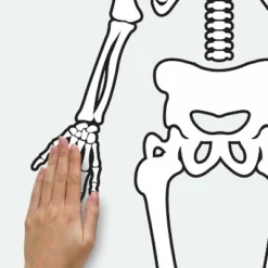 Skeleton Glow In The Dark Peel And Stick Giant Wall Decal White/Black - RoomMates -Home Decor Store GUEST 24866b24 0d0d 42cf 8ddc ebacee053eb2