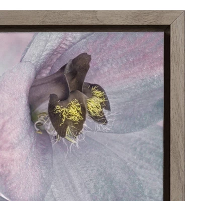 16" X 16" USA, Washington State, Seabeck. Delphinium Blossoms Close-up. Framed Canvas Wall Art - Amanti Art 4 16" X 16" USA, Washington State, Seabeck. Delphinium Blossoms Close-up. Framed Canvas Wall Art - Amanti Art - Image 2