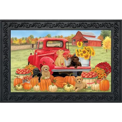Fall Puppies Doormat Pumpkins Floral Indoor / Outdoor 30" X 18" Briarwood Lane 3 Fall Puppies Doormat Pumpkins Floral Indoor / Outdoor 30" X 18" Briarwood Lane