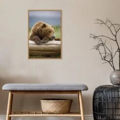 16" X 23" Bear Resting On A Beached Log By Paul Souders Danita Delimont Framed Canvas Wall Art Brown - Amanti Art -Home Decor Store GUEST 3b89571e 2d9b 4ad0 8e3f fe05cfb364e4