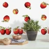 Country Apples Peel And Stick Wall Decal Red - RoomMates -Home Decor Store GUEST 48d46de5 7c99 4ecf b70e 0e9acde7348b