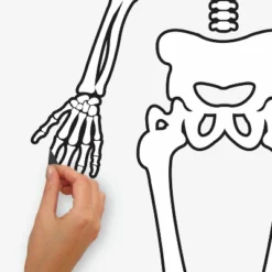 Skeleton Glow In The Dark Peel And Stick Giant Wall Decal White/Black - RoomMates -Home Decor Store GUEST 7d544213 da7e 41d0 a0ec e179f14a9f62