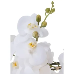 Dahlia Studios Potted Faux Artificial Flowers Realistic White Phalaenopsis Orchid In White Ceramic Pot Home Decoration 29" High -Home Decor Store GUEST 98aaa0f5 4fa7 480e ae80 f63be8f10a1d