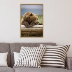 16" X 23" Bear Resting On A Beached Log By Paul Souders Danita Delimont Framed Canvas Wall Art Brown - Amanti Art -Home Decor Store GUEST af8774ba 77c8 4478 a058 5ac2bdf24529