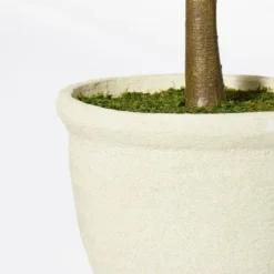 Ficus Tree - Threshold™ Designed With Studio McGee 7 Ficus Tree - Threshold™ Designed With Studio McGee -Home Decor Store GUEST b527c49c 40e7 4f4d 8026 e60817b7e327