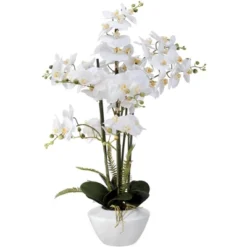 Dahlia Studios Potted Faux Artificial Flowers Realistic White Phalaenopsis Orchid In White Ceramic Pot Home Decoration 29" High -Home Decor Store GUEST c0cc21c5 3d69 4474 9fe0 dc52376ff651