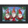 Briarwood Lane Winter Gnomes Christmas Doormat Humor Santa Hats Indoor Outdoor 30" X 18" -Home Decor Store GUEST ceed5875 1f61 4bfc ba78 832dab016ee1