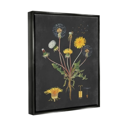 Stupell Industries Botanical Drawing Dandelion On Black Design 4 Stupell Industries Botanical Drawing Dandelion On Black Design - Image 2