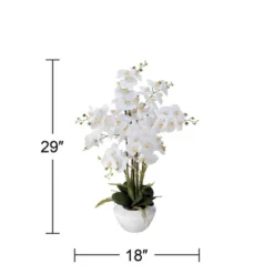 Dahlia Studios Potted Faux Artificial Flowers Realistic White Phalaenopsis Orchid In White Ceramic Pot Home Decoration 29" High -Home Decor Store GUEST df4c5fab 3b39 4b74 b22f eba309ee04bd
