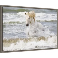 23" X 16" Camargue Horse In The Surf By Ellen Goff Danita Delimont Framed Canvas Wall Art - Amanti Art